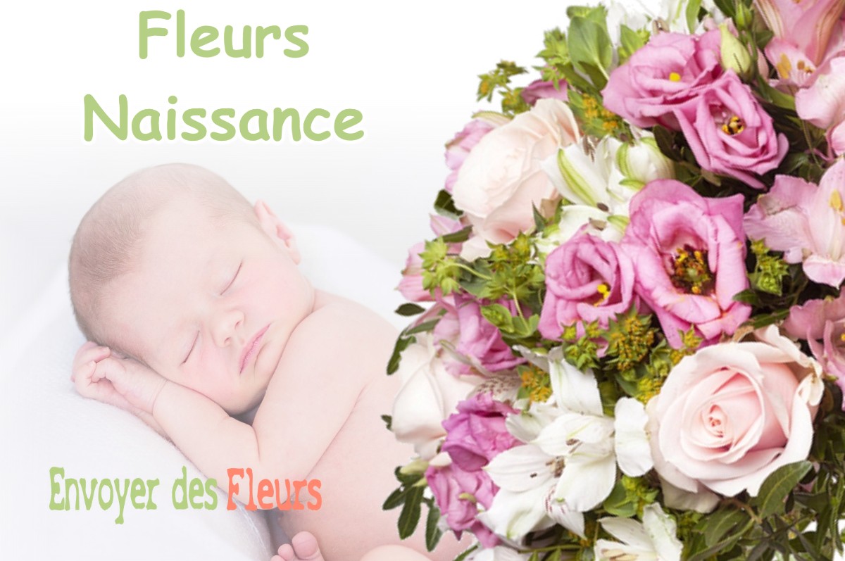 lIVRAISON FLEURS NAISSANCE à SAINT-PAUL-DE-VARCES